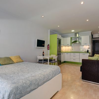 Carihuela Palace Studio 071